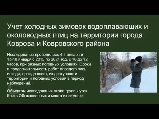 Учет холодных зимовок водоплавающих и околоводных птиц на территории города Коврова и