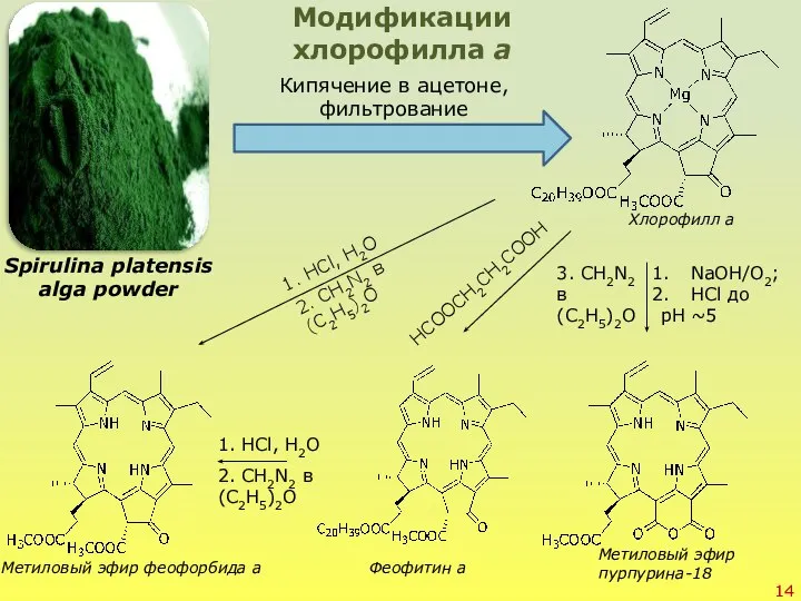 Spirulina platensis alga powder Кипячение в ацетоне, фильтрование Модификации хлорофилла а 1.