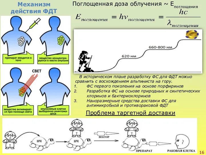 Проблема таргетной доставки Поглощенная доза облучения ~ Eпоглощения Механизм действия ФДТ В