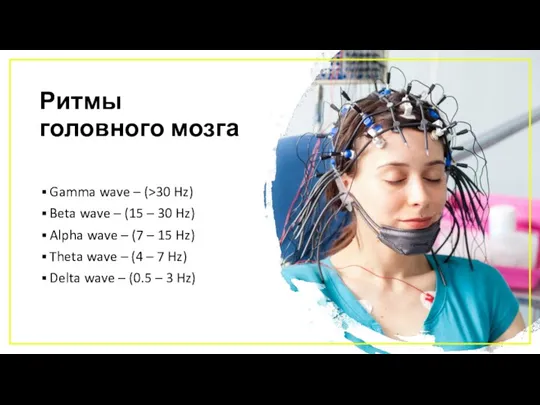 Ритмы головного мозга Gamma wave – (>30 Hz) Beta wave – (15