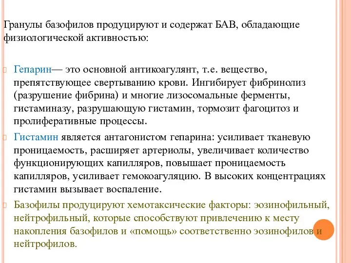 Гранулы базофилов продуцируют и содержат БАВ, обладающие физиологической активностью: Гепарин— это основной