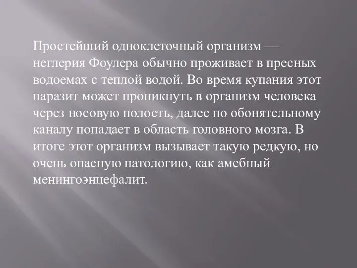 Простейший одноклеточный организм — неглерия Фоулера обычно проживает в пресных водоемах с