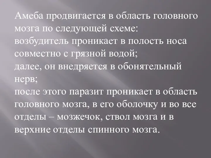 Амеба продвигается в область головного мозга по следующей схеме: возбудитель проникает в