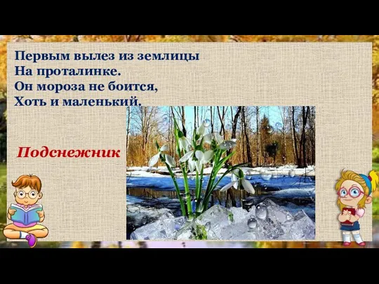 Подснежник Первым вылез из землицы На проталинке. Он мороза не боится, Хоть и маленький.