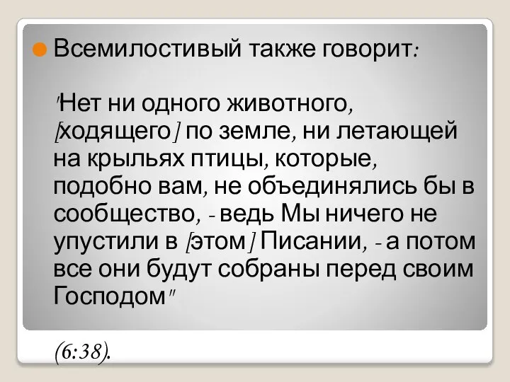 Всемилостивый также говорит: "Нет ни одного животного, [ходящего] по земле, ни летающей