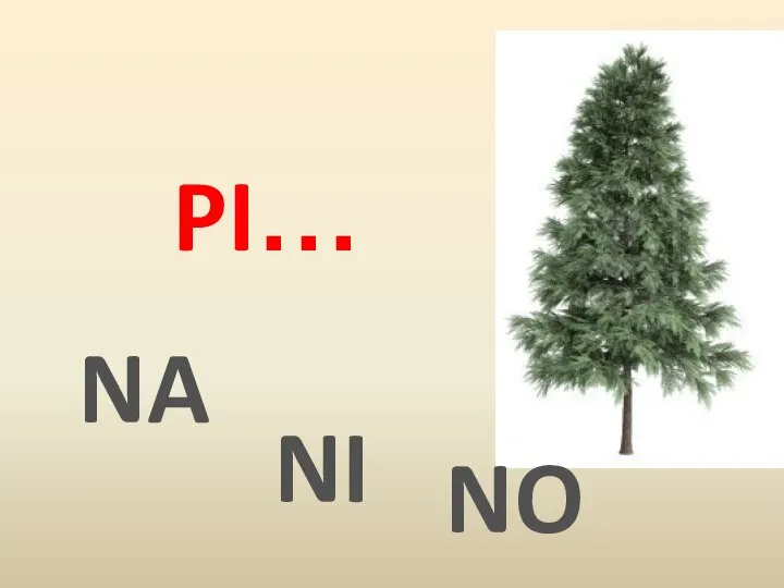 PI… NA NI NO