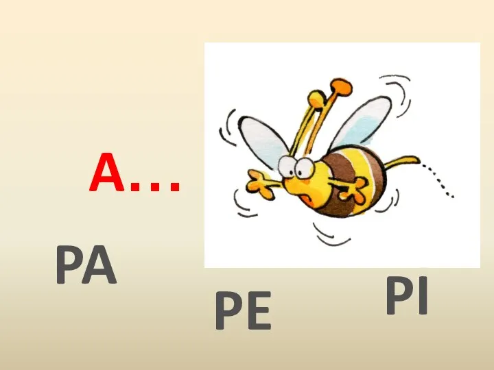 PI A… PE PA