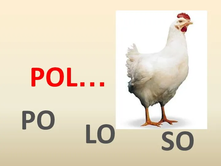 POL… PO LO SO