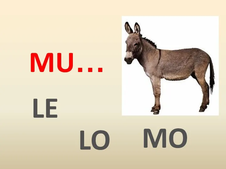 LO MU… LE MO