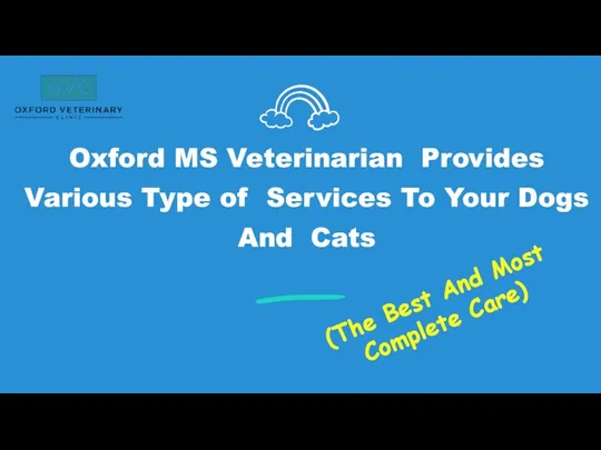 Oxford MS Veterinarian Provides Various Type of Services To Your Dogs And