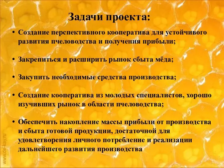 Создание перспективного кооператива для устойчивого развития пчеловодства и получения прибыли; Закрепиться и