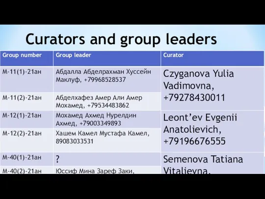 Curators and group leaders