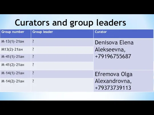 Curators and group leaders