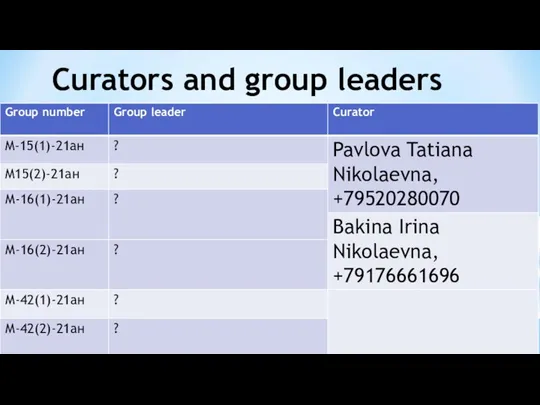 Curators and group leaders