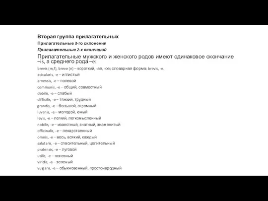 Вторая группа прилагательных Прилагательные 3-го склонения Прилагательные 2-х окончаний Прилагательные мужского и