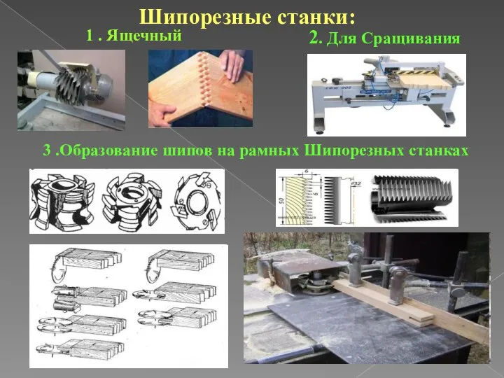 Шипорезные станки: 1 . Ящечный 2. Для Сращивания 3 .Образование шипов на рамных Шипорезных станках