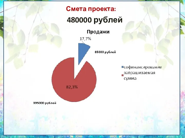 Смета проекта: 480000 рублей
