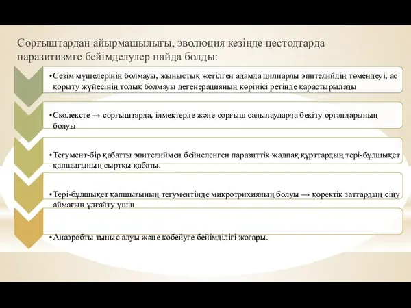 Сорғыштардан айырмашылығы, эволюция кезінде цестодтарда паразитизмге бейімделулер пайда болды: Сезім мүшелерінің болмауы,