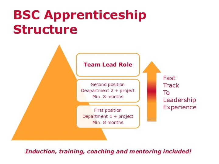 Fast Track To Leadership Experience BSC Apprenticeship Structure Induction, training, coaching and mentoring included!