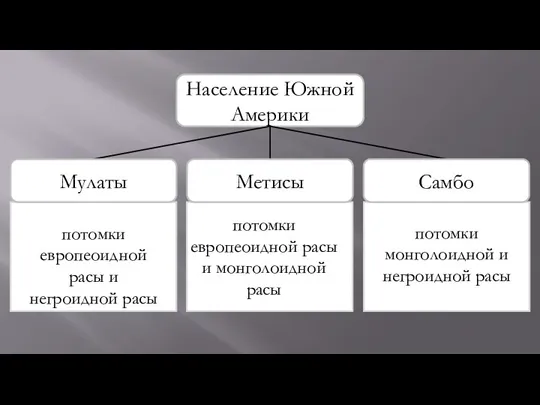 Население Южной Америки потомки европеоидной расы и негроидной расы потомки европеоидной расы