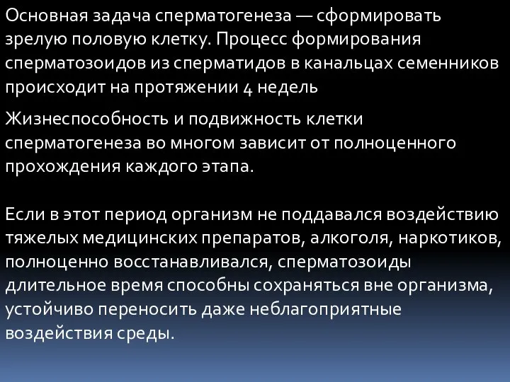 Основная задача сперматогенеза — сформировать зрелую половую клетку. Процесс формирования сперматозоидов из