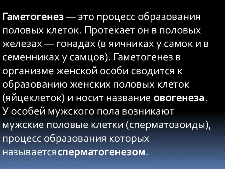 Гаметогенез — это процесс образования половых клеток. Протекает он в половых железах