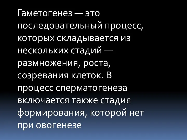 Гаметогенез — это последовательный процесс, которых складывается из нескольких стадий — размножения,