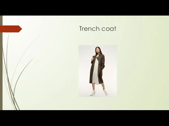 Trench coat