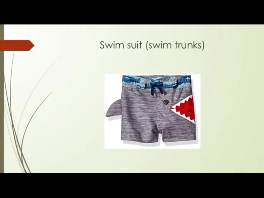 Swim suit (swim trunks)