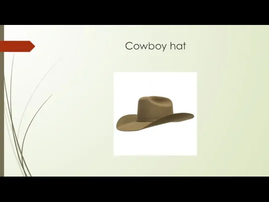 Cowboy hat