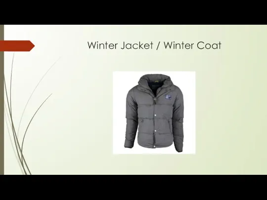 Winter Jacket / Winter Coat