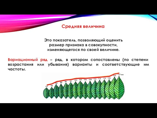 Средняя величина Это показатель, позволяющий оценить размер признака в совокупности, изменяющегося по