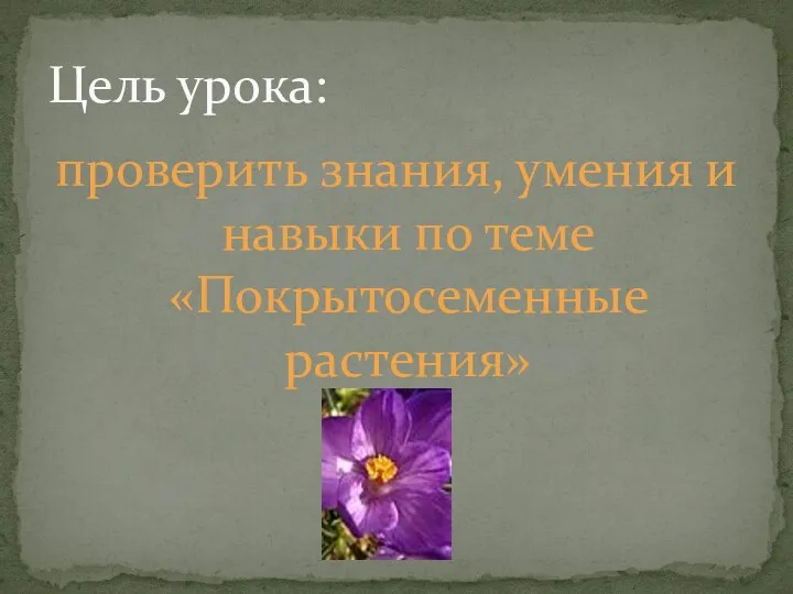 проверить знания, умения и навыки по теме «Покрытосеменные растения» Цель урока: