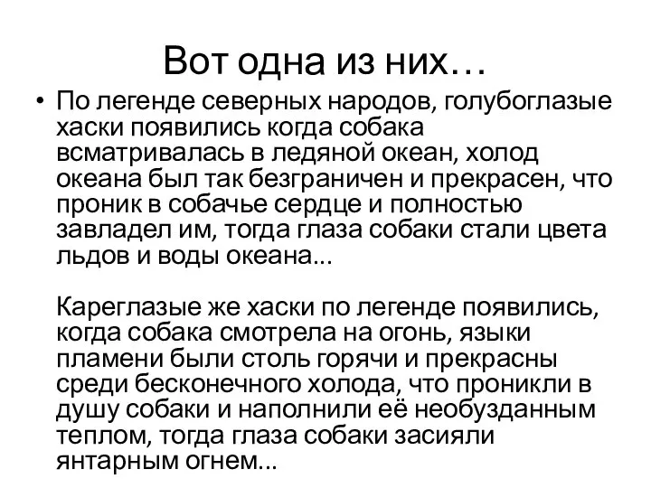 Вот одна из них… По легенде северных народов, голубоглазые хаски появились когда