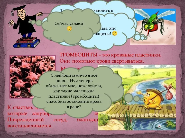 ТРОМБОЦИТЫ ТРОМБОЦИТЫ – это кровяные пластинки. Они помогают крови свертываться. Мы с