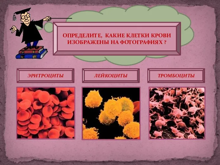 Ну, раз все так хорошо всё поняли, давайте проведём небольшой тест. Я