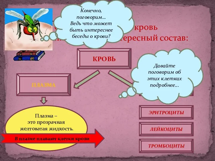 ПЛАЗМА Оказывается, наша кровь имеет очень интересный состав: КРОВЬ ЭРИТРОЦИТЫ ЛЕЙКОЦИТЫ ТРОМБОЦИТЫ