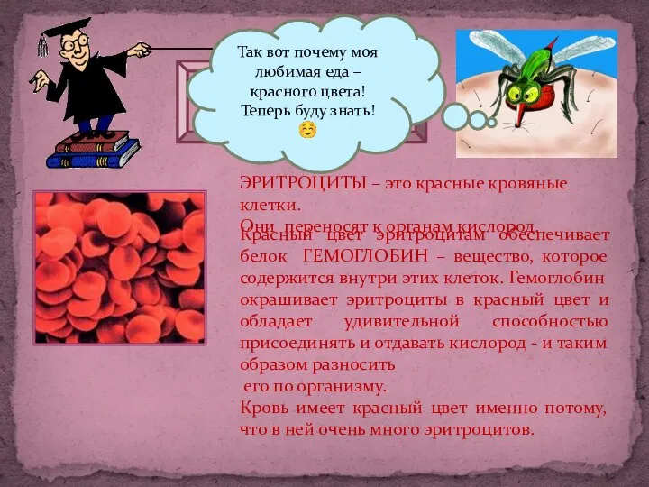 ЭРИТРОЦИТЫ Так вот почему моя любимая еда – красного цвета! Теперь буду