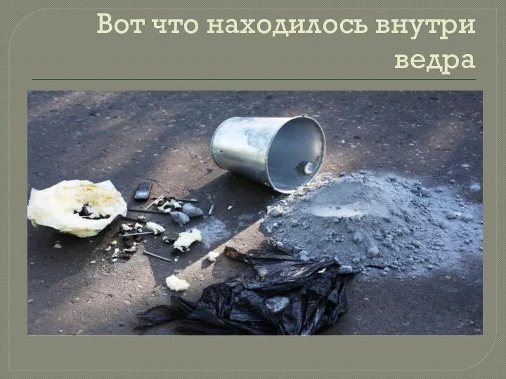 Вот что находилось внутри ведра