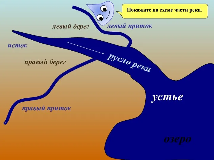 устье озеро правый берег левый берег русло реки исток правый приток левый