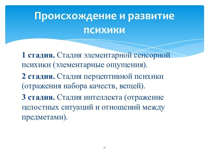 1 стадия. Стадия элементарной сенсорной психики (элементарные ощущения). 2 стадия. Стадия перцептивной