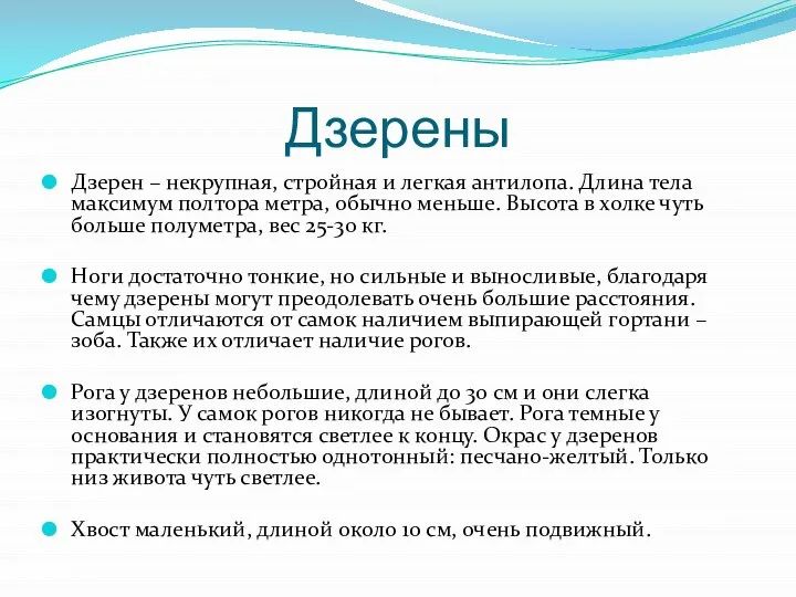 Дзерены Дзерен – некрупная, стройная и легкая антилопа. Длина тела максимум полтора