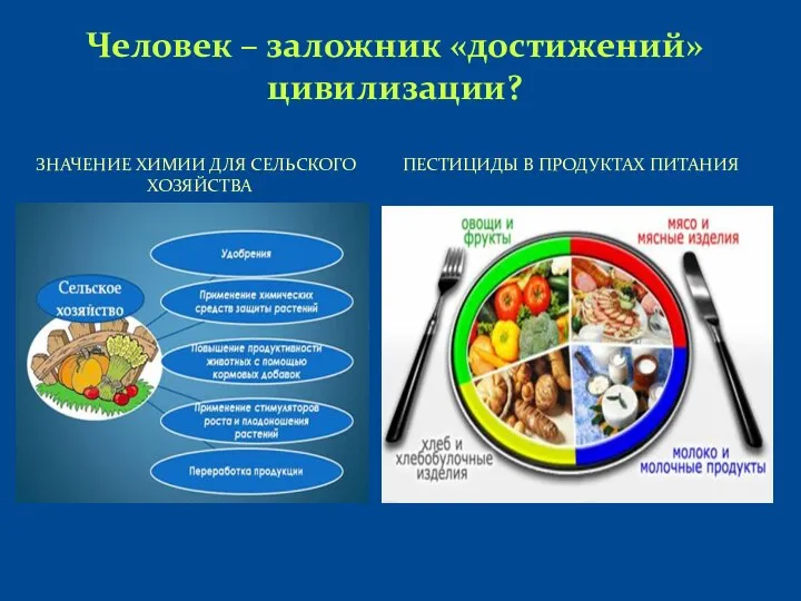 Человек – заложник «достижений» цивилизации? ПЕСТИЦИДЫ В ПРОДУКТАХ ПИТАНИЯ ЗНАЧЕНИЕ ХИМИИ ДЛЯ СЕЛЬСКОГО ХОЗЯЙСТВА