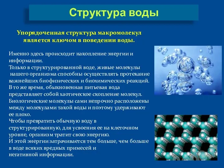 Упорядоченная структура макромолекул является ключом в поведении воды. Именно здесь происходит накопление