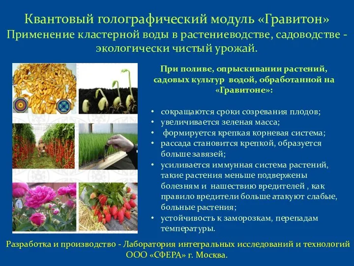 Квантовый голографический модуль «Гравитон» Применение кластерной воды в растениеводстве, садоводстве - экологически