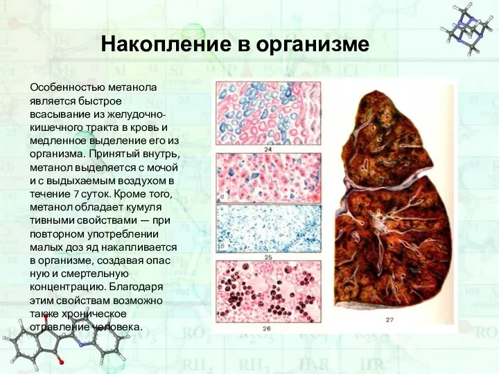 Накопление в организме Особенностью метанола является быстрое всасывание из желудочно-кишечного тракта в