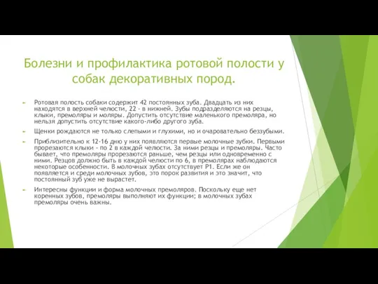 Болезни и профилактика ротовой полости у собак декоративных пород. Ротовая полость собаки