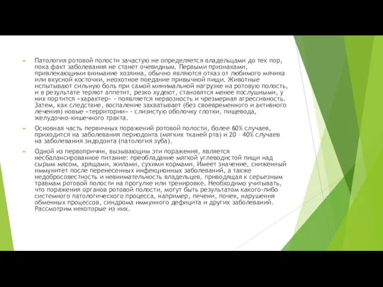 Патология ротовой полости зачастую не определяется владельцами до тех пор, пока факт