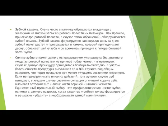 Зубной камень. Очень часто в клинику обращаются владельцы с жалобами на плохой