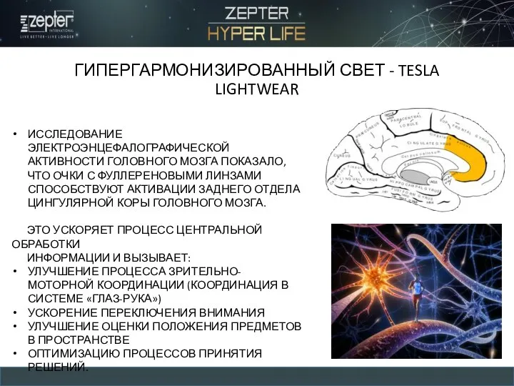 ИССЛЕДОВАНИЕ ЭЛЕКТРОЭНЦЕФАЛОГРАФИЧЕСКОЙ АКТИВНОСТИ ГОЛОВНОГО МОЗГА ПОКАЗАЛО, ЧТО ОЧКИ С ФУЛЛЕРЕНОВЫМИ ЛИНЗАМИ СПОСОБСТВУЮТ